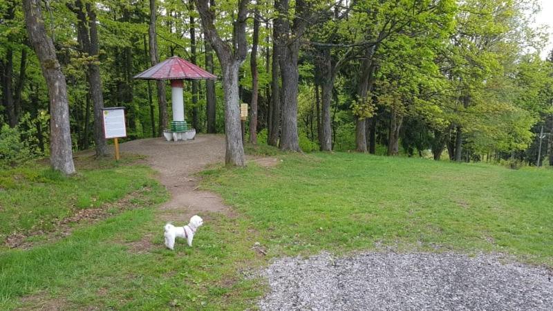 Ubytovani V Soukromi - Apartman Meran Svoboda nad Upou Exterior photo